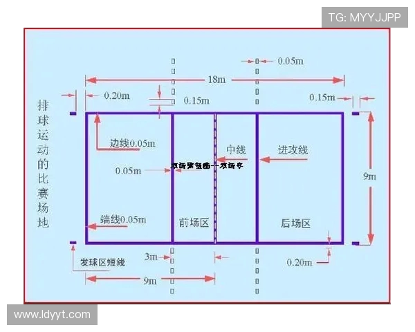 上海排球队防守表现分析及其对比赛结果的影响探讨